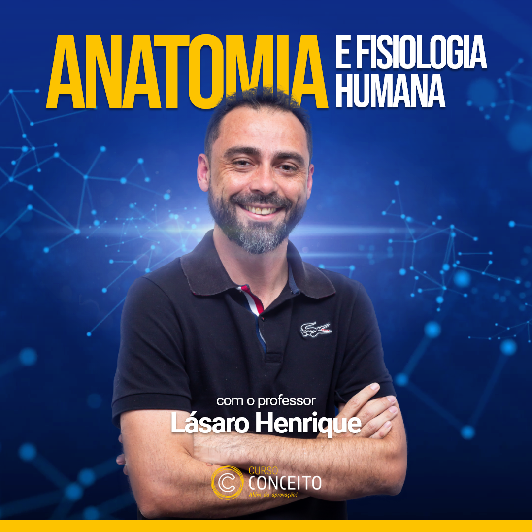 Diretorio De Exercicios Muscle Anatomia E Fisiologia Vrogue Co