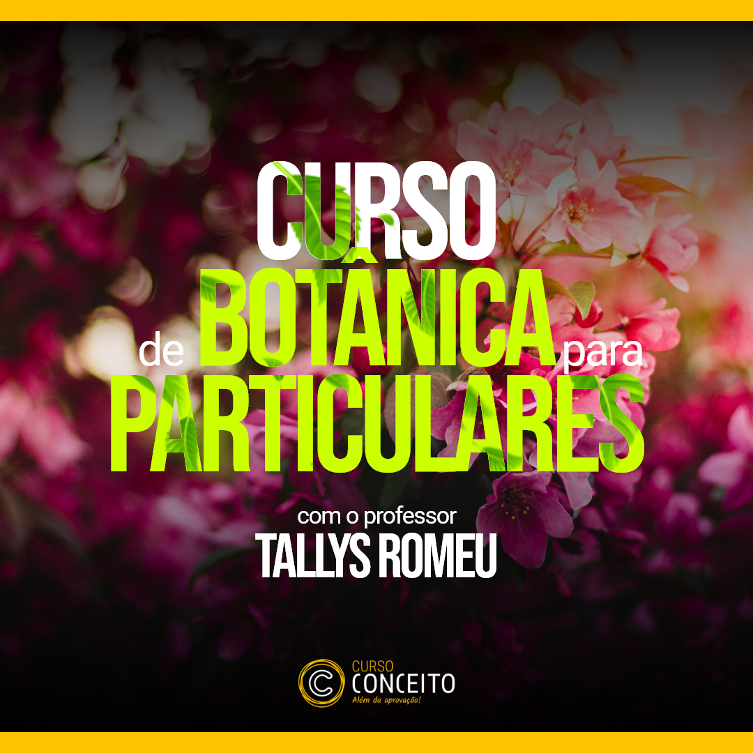 Conceito Play conceito-play